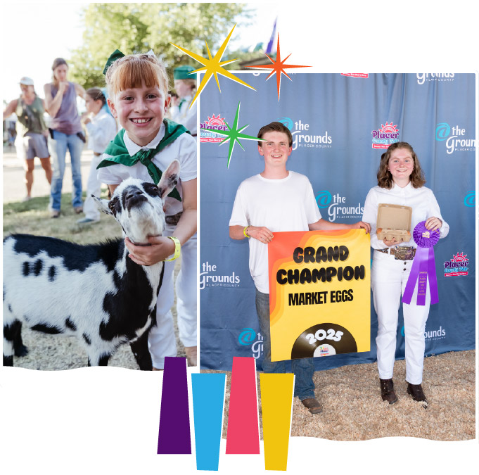 PCF-Image_Get_Involved-1-Top