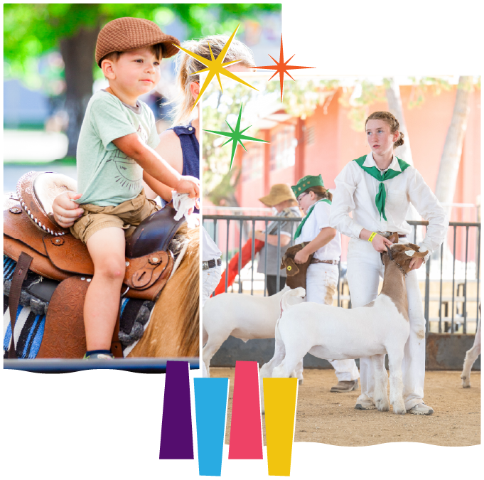 PCF-Image-2_About-2-Bottom