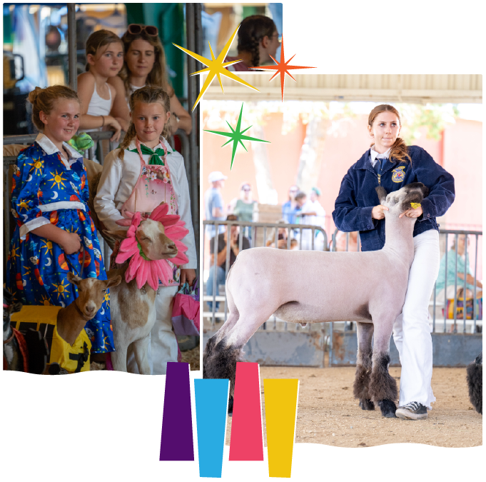 PCF-Image-2_Livestock-1-Top