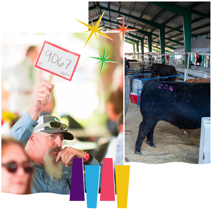 PCF-Image-2_Livestock-2-Top