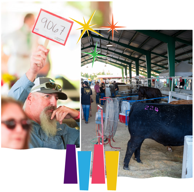 PCF-Image-3_Livestock-2-Bottom