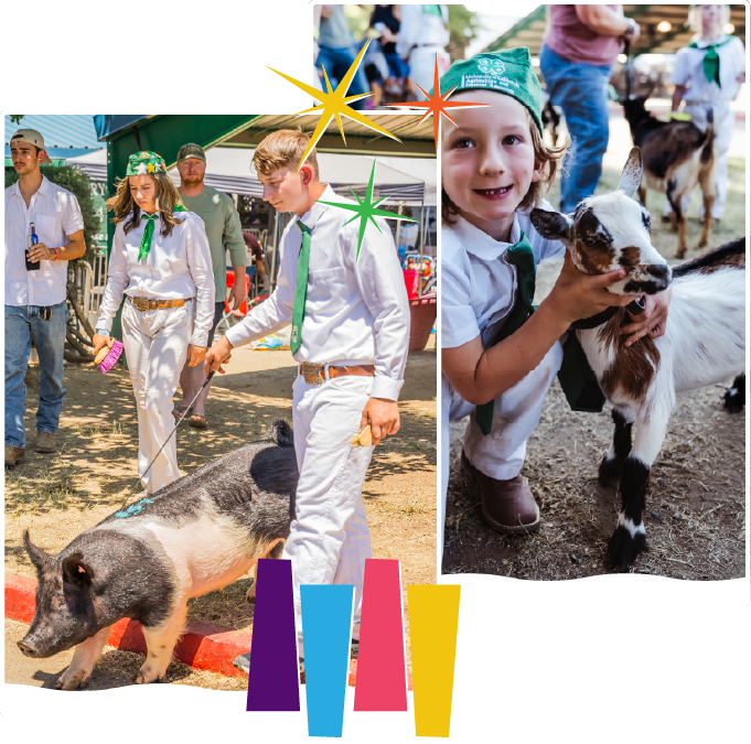 livestock (1)