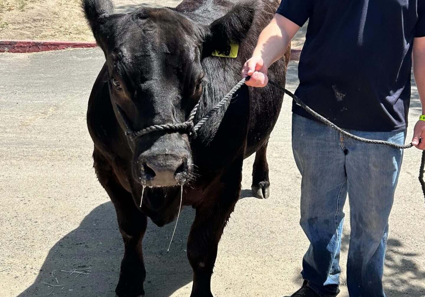 imgi_77_513404179_18126313540450476_3120887265642330156_n